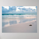Recherche de lune rose posters Plage