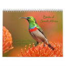 Zoek naar zuid afrika kalenders Vogels