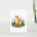 Recherche de orange chat tigré vœux cartes Chaton
