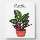Recherche de dessin plaques Vert