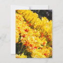 Recherche de marigot cartes postales Floral