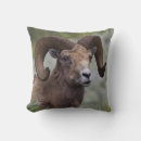 Recherche de rocky coussins Délimiteur danita