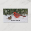 Recherche de cardinal cartes visite Hiver