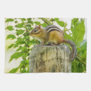 Recherche de courrier de barrière Nature