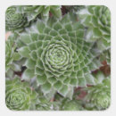 Recherche de developers autocollants Floral