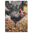 Recherche de poulet porte blocs Poules