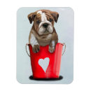 Recherche de chiot magnets Amour de seaux