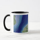 Recherche de manche tasses France