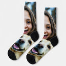 Recherche de labrador slippers Animal de compagnie