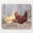Recherche de poulette tapis souris Poules