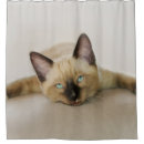 Recherche de se refroidissent Mignon
