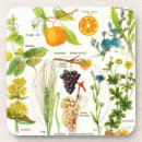 Recherche de usine dessous de verres Jardin