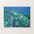 Zoek naar turtle puzzels Onderwater