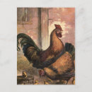 Recherche de poule bébé cartes postales Mignon