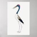 Zoek naar ooievaar posters Illustratie