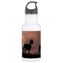 Recherche de cheval noir gourdes Chevaux