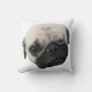Recherche de de chiot de carlin coussins Canine