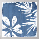 Recherche de paumes posters Botanique