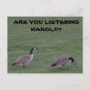 Zoek naar ganzen briefkaarten Migratie