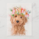 Zoek naar mini briefkaarten Hond