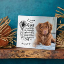 Recherche de photo animaux mémoriaux Typographie