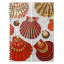 Recherche de palourde Coquilles
