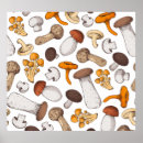 Recherche de champignon vintage art Illustration