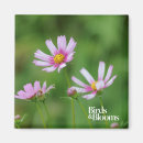 Zoek naar cosmos magneten Tuin