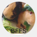 Recherche de cobayes autocollants Animaux