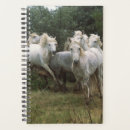 Recherche de horse bureau fournitures Ferme
