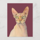 Zoek naar sphynx kat posters Kaal