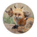 Recherche de renard ustensiles cuisine Animal