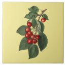 Recherche de cerise carreaux Botanique