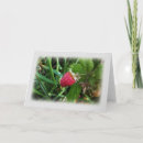 Recherche de framboise vœux cartes Vert