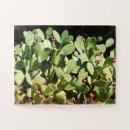 Recherche de poire puzzles Cactus