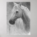 Zoek naar zwart wit dieren posters Paard