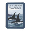 Recherche de orques magnets L'alaska