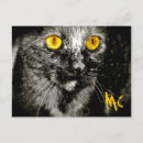 Recherche de charite cartes postales Animaux