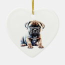 Zoek naar bullmastiff ornamenten Hond
