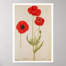 Zoek naar moyne posters De