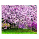 Recherche de banc de jardin posters Printemps