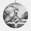 Recherche de warmblood Équin