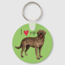 Recherche de chocolat labrador retriever porteclés Chien