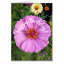 Zoek naar roze zinnia kaarten Pinkflower