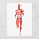 Recherche de biceps cartes postales Bras