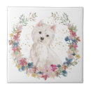 Recherche de westie carreaux Dog