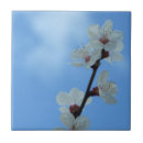 Zoek naar hout tegels Bloem