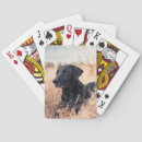 Recherche de labrador noir jeux de cartes Mignon