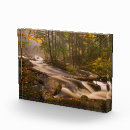 Recherche de les appalaches Forêt