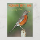 Zoek naar american robin briefkaarten Bird